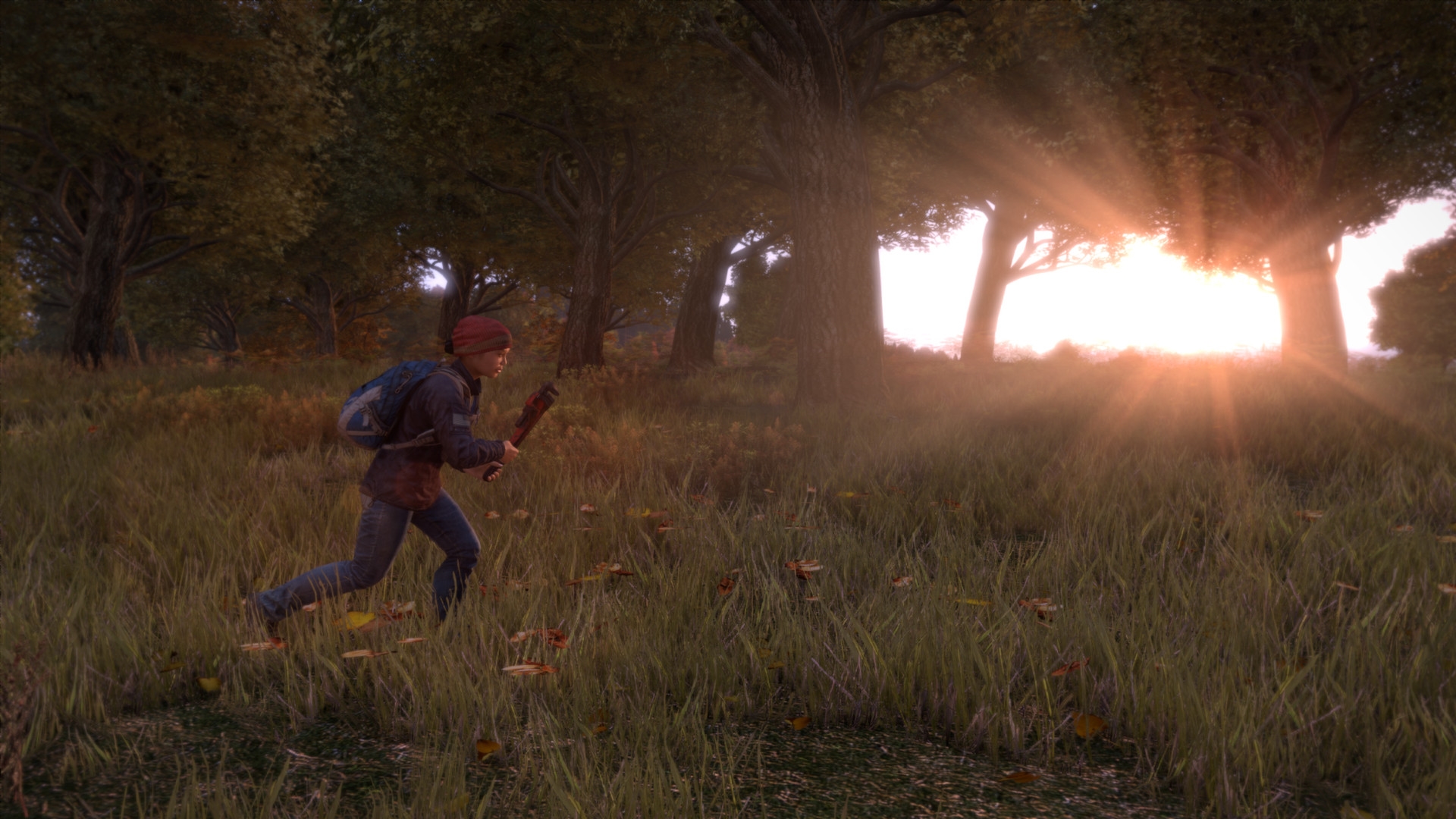 dayz images dayz images