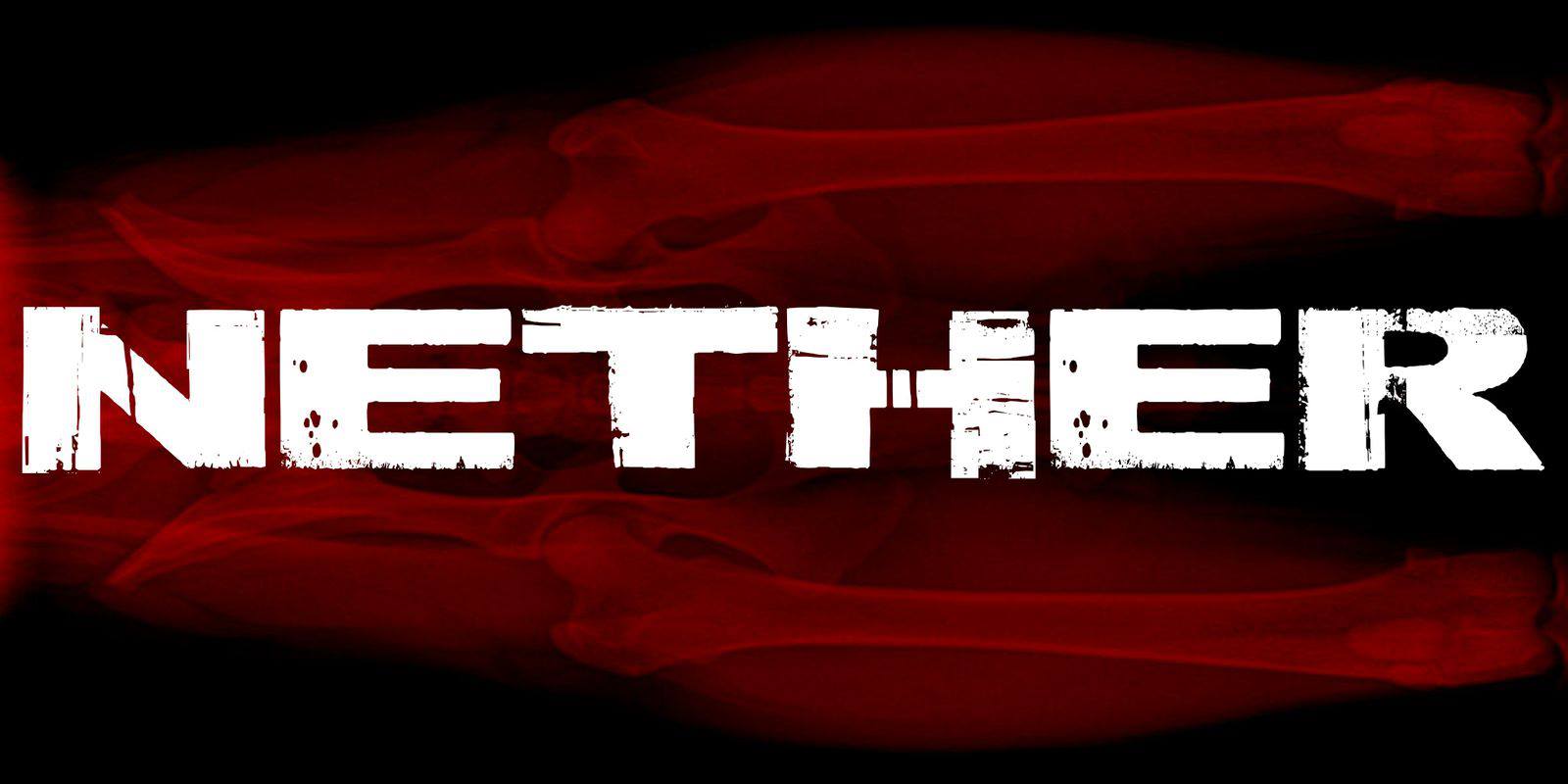 Nether Giveaway > GamersBook