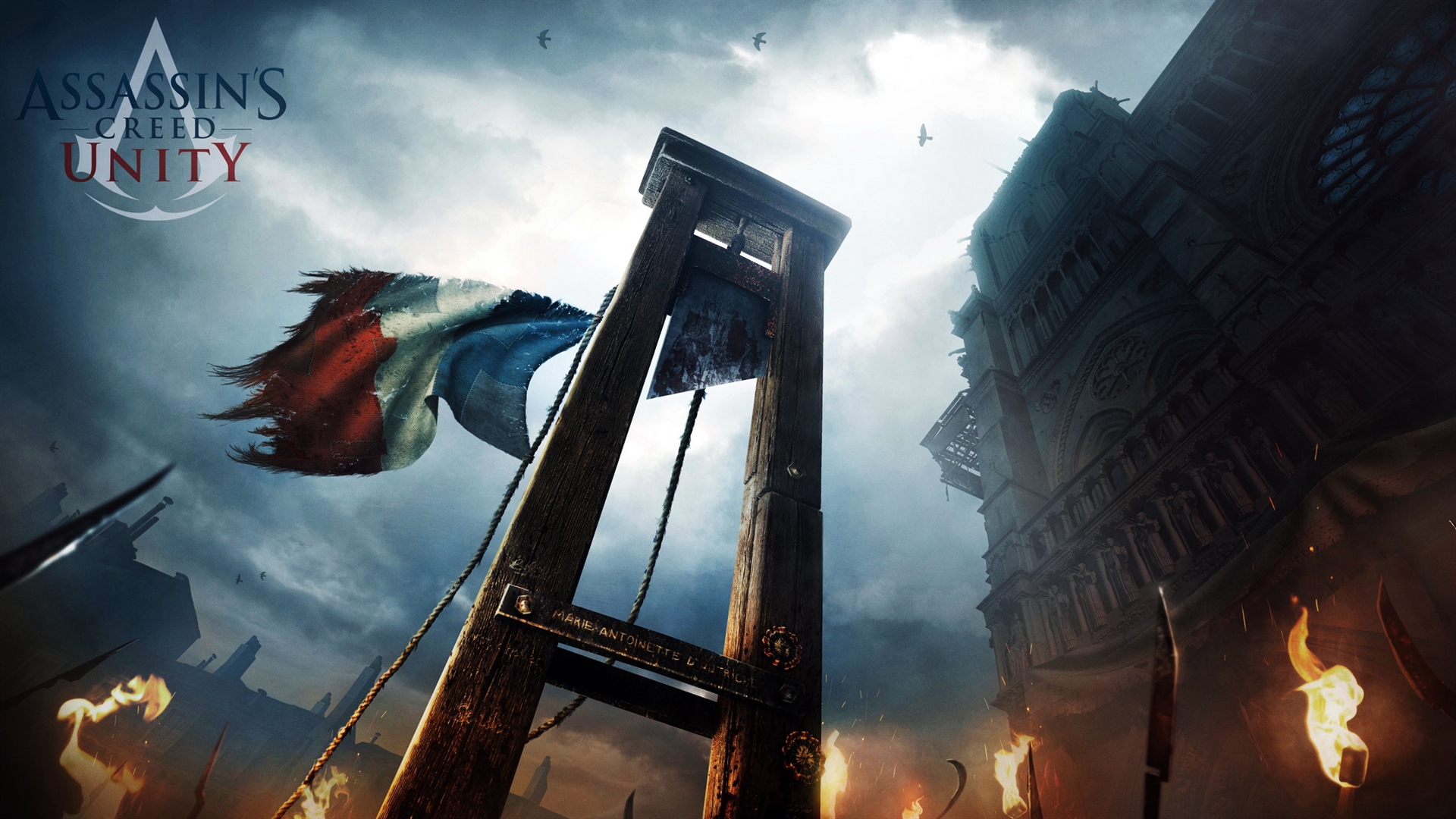 download assassin download assassin