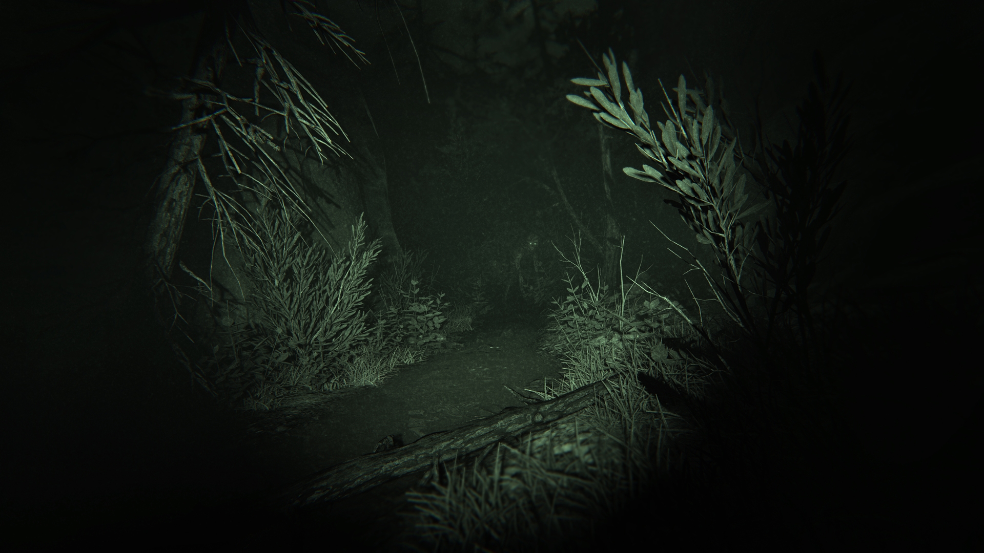 the outlast 2 download free