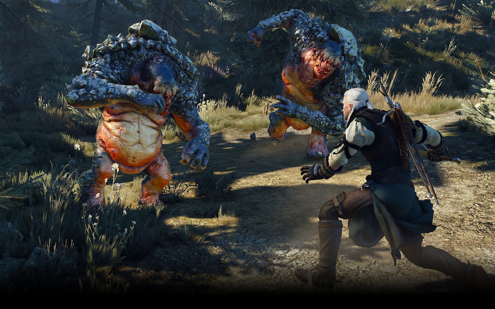 More Screenshots from The Witcher 3 > GamersBook