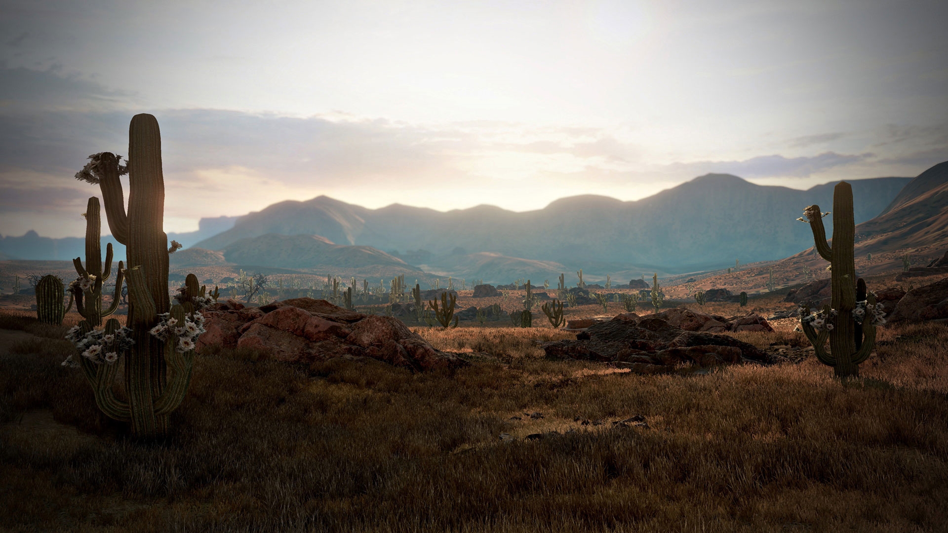 Wild West Online debut gameplay video > GamersBook